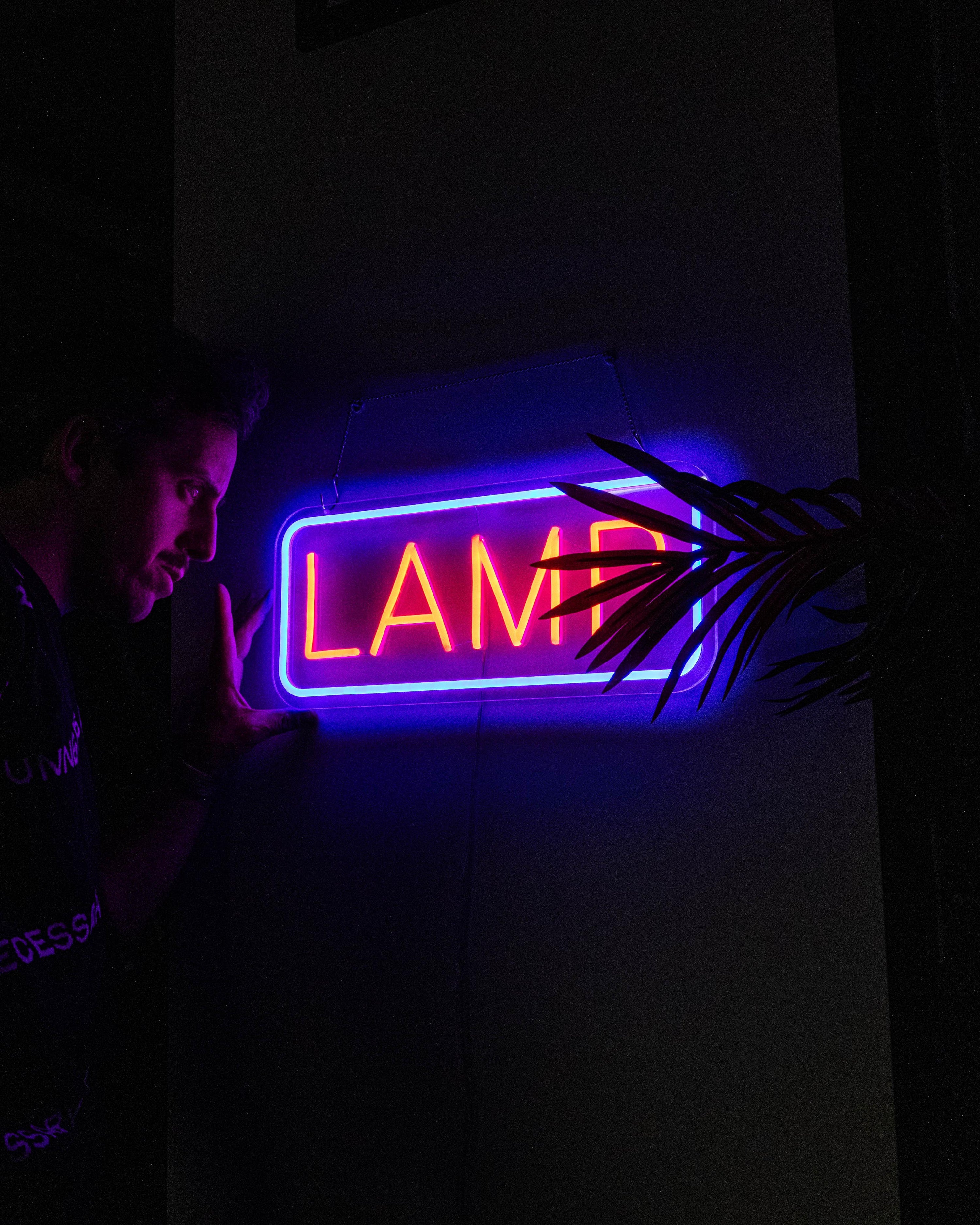 Self Aware Lamp - Neon Home Decor Wall Lamp
