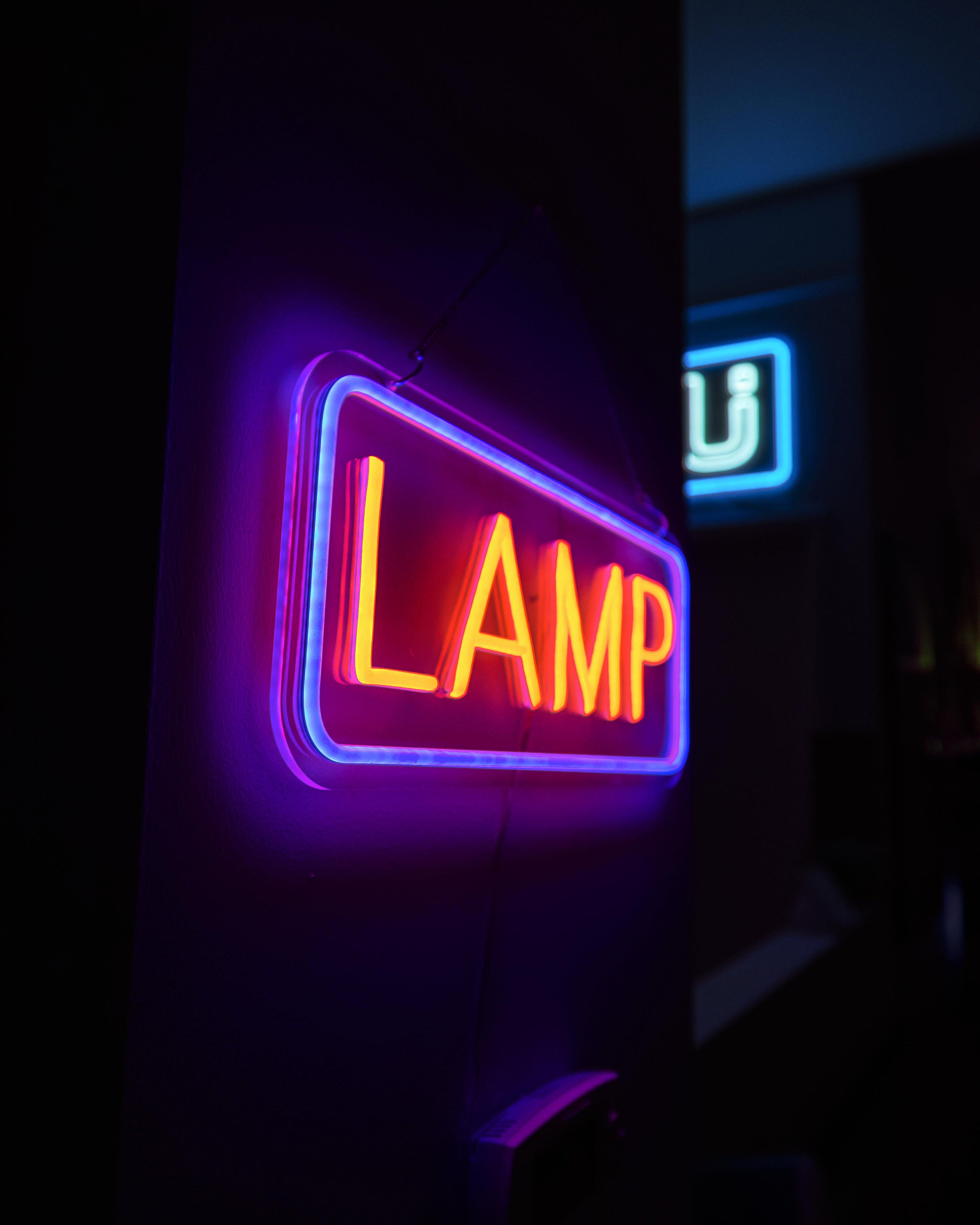 Self Aware Lamp - Neon Home Decor Wall Lamp
